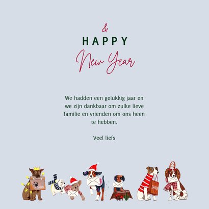 Kerstkaart honden brievenbus kerst illustratie 3