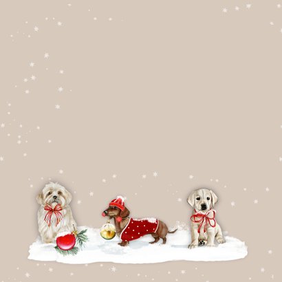 Kerstkaart hondjes kerst 2