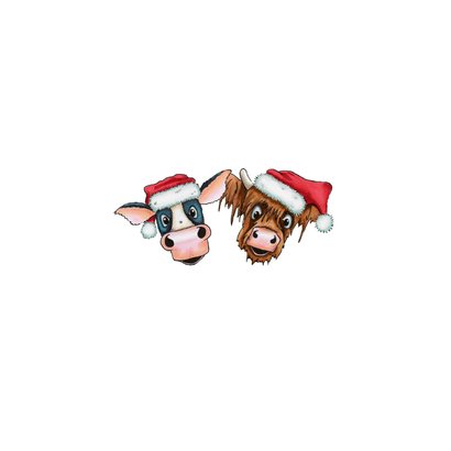 Kerstkaart hooglander en koe Achterkant