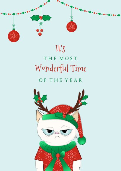 Kerstkaart humor chagrijnige kat in hele foute kerstoutfit 2
