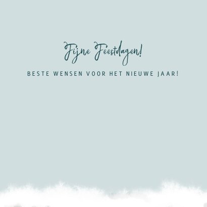 Kerstkaart ijsblauw met een lieve ijsbeer 3