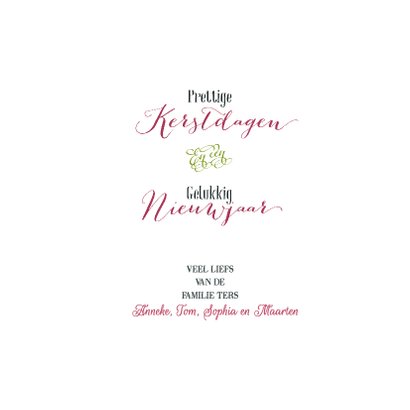 Kerstkaart Illustratie Slee Hert 3