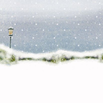 Kerstkaart in het zijspan met de kerstboom Achterkant