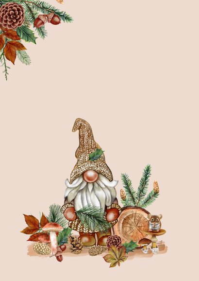 Kerstkaart kabouter met kersttakjes 2