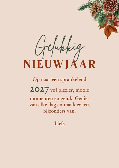 Kerstkaart kabouter met kersttakjes 3