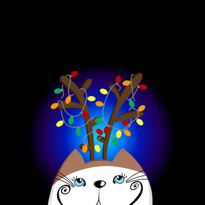 Kerstkaart kat in de nacht 2
