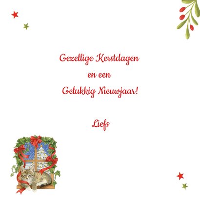 Kerstkaart kat in vensterbank 3