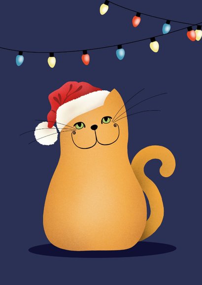 Kerstkaart - kat in wirwar van kerstlampjes 2