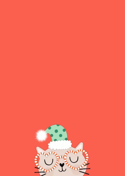 Kerstkaart kat kerstmuts foto rood groen 2