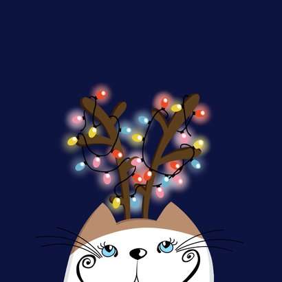 Kerstkaart - Kat met kerstlichtjes 2
