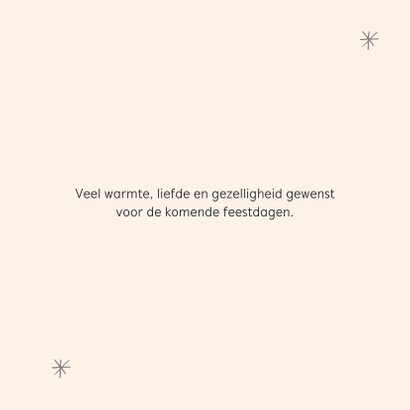 Kerstkaart -kat met kerstmuts en kerstlampjes 3