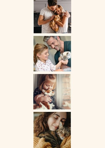  Kerstkaart katten gezellig in de woonkamer bij de kerstboom 2