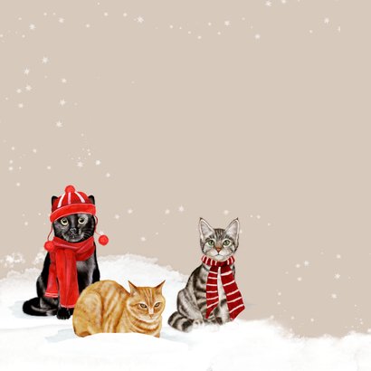 Kerstkaart katten in de sneeuw 2