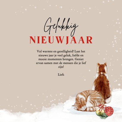 Kerstkaart katten in de sneeuw 3
