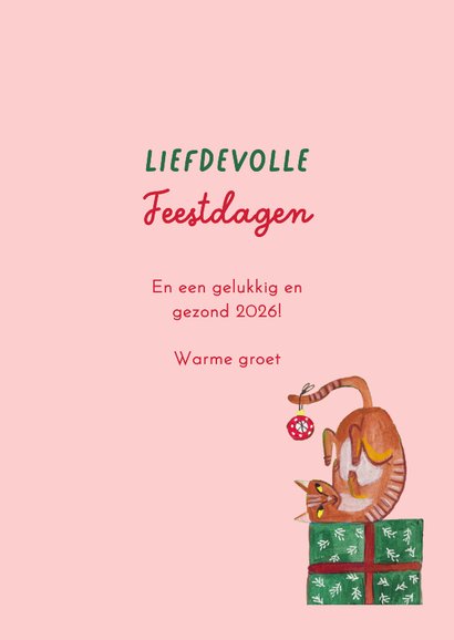 Kerstkaart kattenkwaad 3