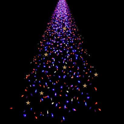 Kerstkaart kerstbomen 2