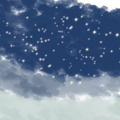 Kerstkaart kerstboom kat Achterkant