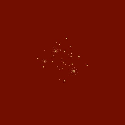 Kerstkaart kerstkabouters goud Achterkant