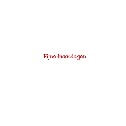 Kerstkaart kerstkat en kerstvogeltjes 3