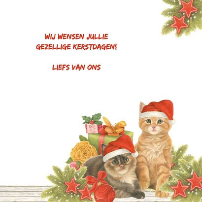 Kerstkaart Kerstkittens met kadootjes 3