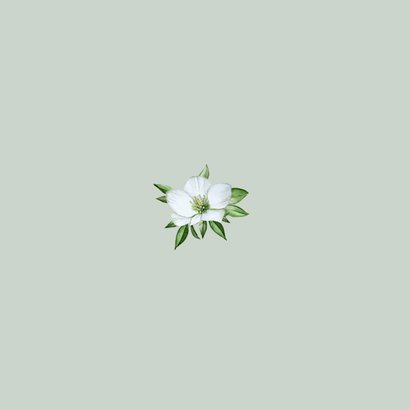 Kerstkaart kerstkrans met groene strik Achterkant