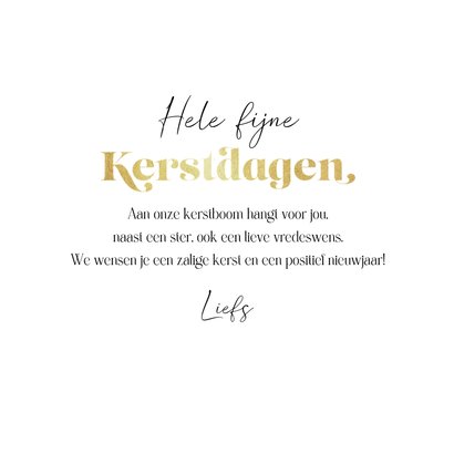 Kerstkaart kerstkus brievenbus goud sterren liefdevol 3