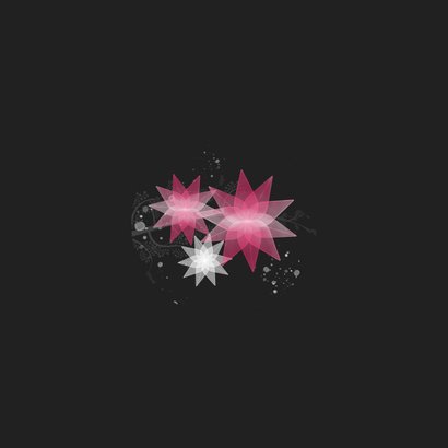 Kerstkaart kerststerren rood en wit Achterkant