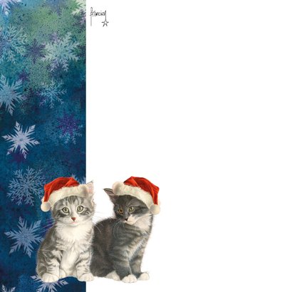 Kerstkaart kittens in blauw 2