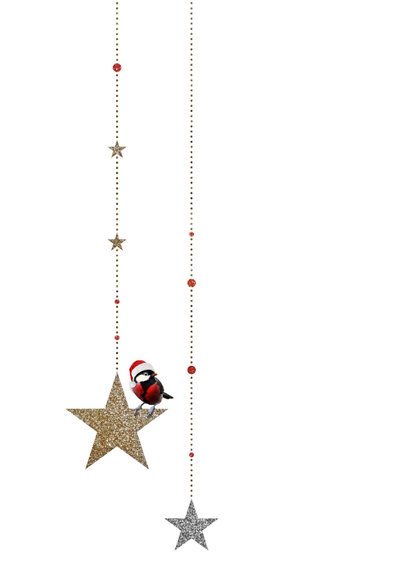 Kerstkaart koolmees op sterren met goud en zilver glitters 2