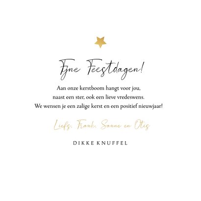 Kerstkaart liefdevol dikke kerstknuffel sterren goud foto 3