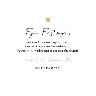 Kerstkaart liefdevol dikke kerstknuffel sterren goud foto 3