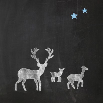 Kerstkaart Little Christmas - SG 2