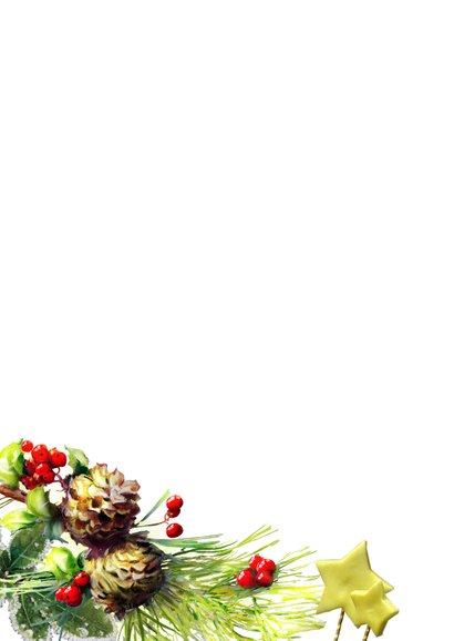 Kerstkaart - Lovely Christmas Card 2021 Achterkant