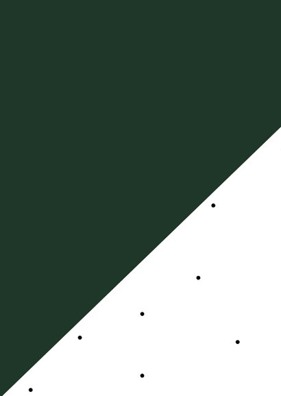 Kerstkaart | Merry Xmas and a happy new year | Groen/rood 2