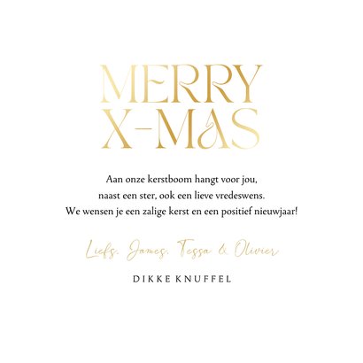 Kerstkaart merry xmas sprankelend goud sterren kerstster 3