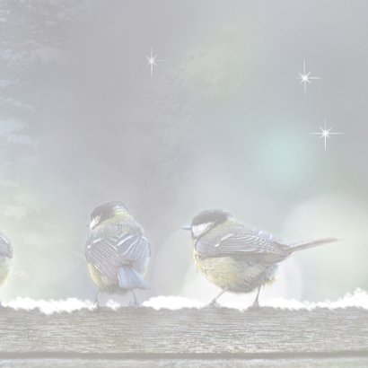 Kerstkaart met 5 koolmezen in de winternacht 3