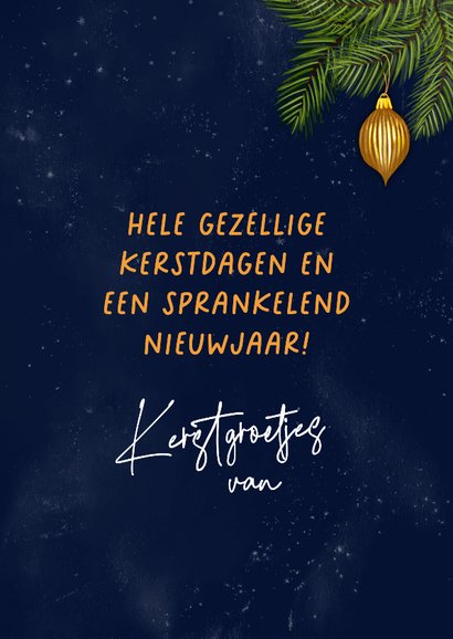Kerstkaart met Amsterdamse pandjes en een brug 3