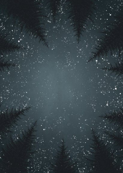 Kerstkaart met bomen, sneeuw, foto en 'Fijne Feestdagen' Achterkant
