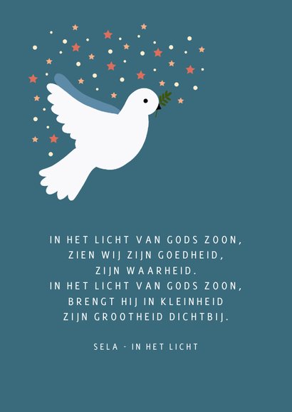 Kerstkaart met duif, sterren en sneeuwvlokken 2