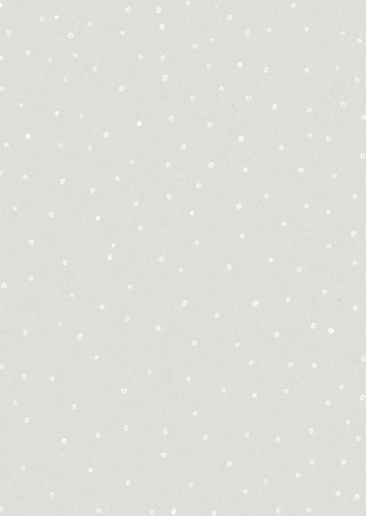 Kerstkaart met een feestelijk roodborstje en sneeuw Achterkant