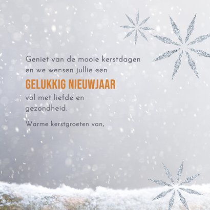 Kerstkaart met foto roodborst in de sneeuw 3