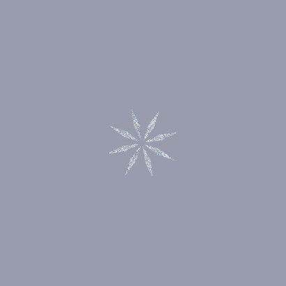 Kerstkaart met foto roodborst in de sneeuw Achterkant