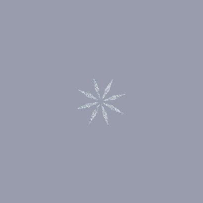 Kerstkaart met foto roodborst in de sneeuw Achterkant