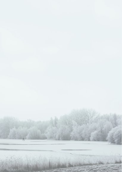 Kerstkaart met foto van bevroren meer en bos 2