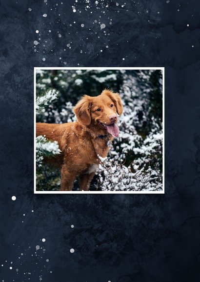 Kerstkaart met foto van hond en sneeuwvlokjes 2