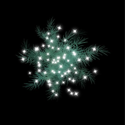 Kerstkaart met grote witte ster met dennetakjes 2