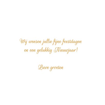 Kerstkaart met Hollands landschap en zwanen 3