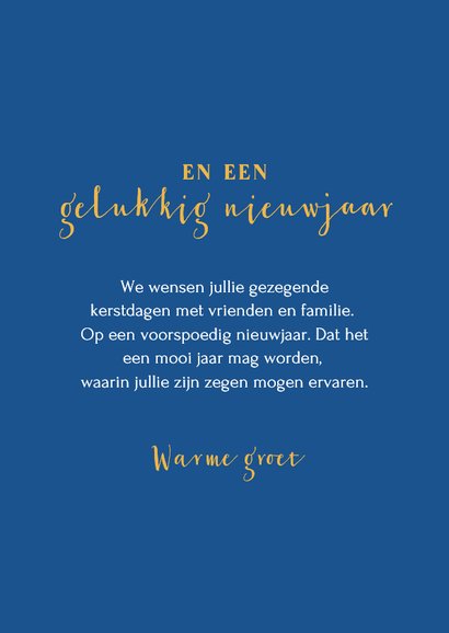 Kerstkaart met illustratie Jozef Maria en Jezus dieren ster 3