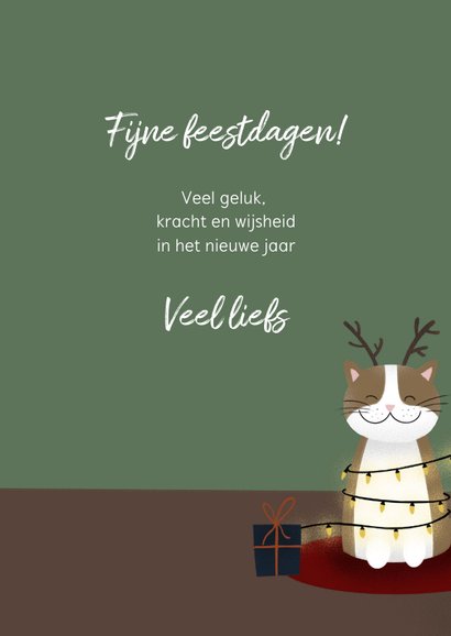 Kerstkaart met kat merry cat-mess 3