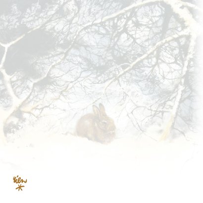 Kerstkaart met lief konijn in winterbos 2